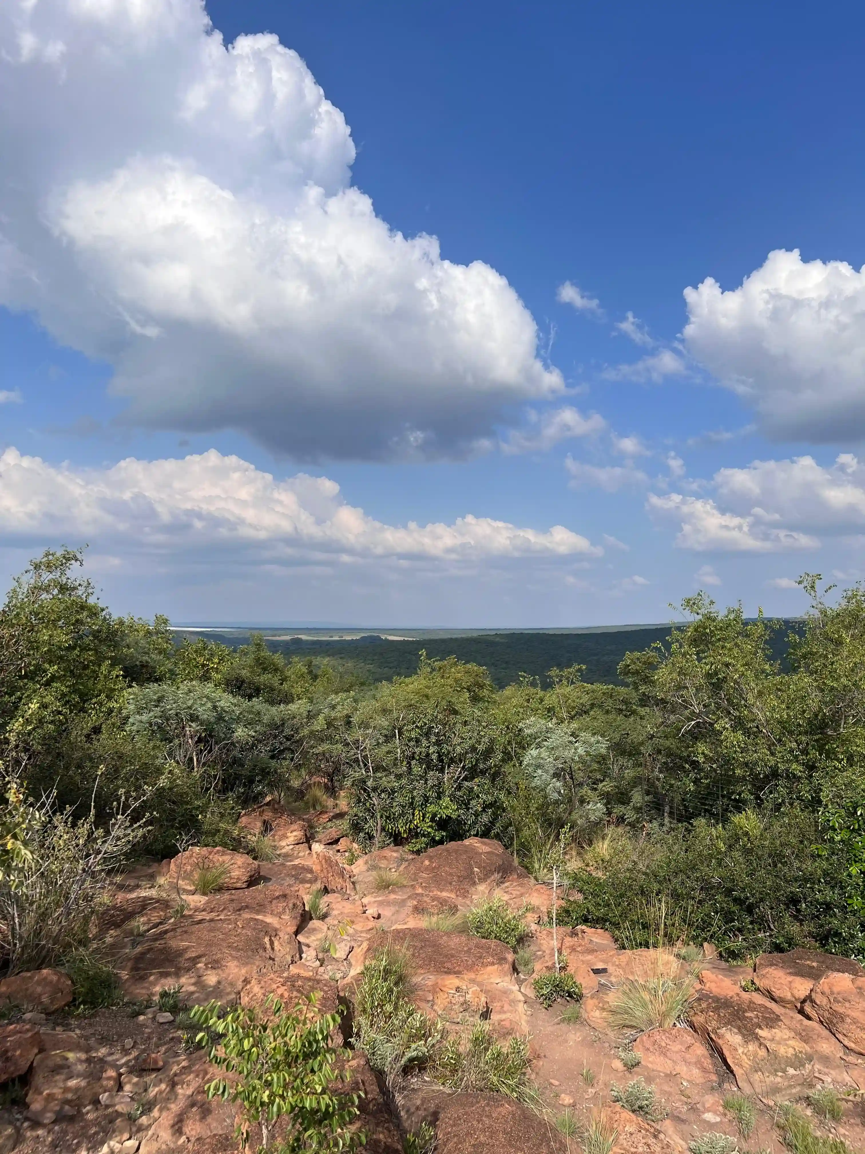 Curso de Cazador Profesional - Imagen 15